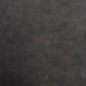 Meet your Posher, Beau